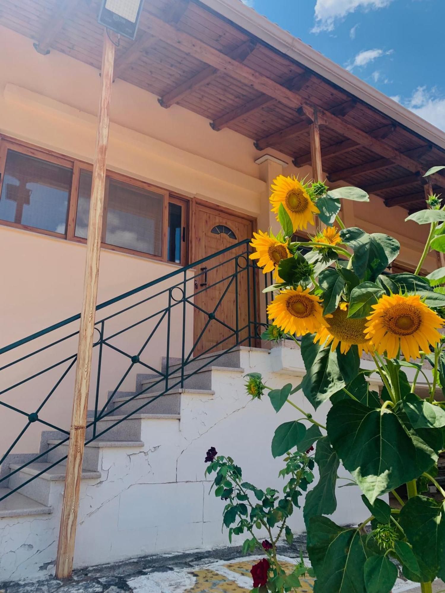 Apartament Bokas Exotic House Tragana  Zewnętrze zdjęcie
